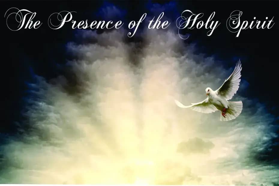 The Presence of the Holy Spirit. A Dove in the Sky. The Love of God